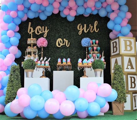Gender Reveal Party Ideas Birthday Backdrop Gender Reveal Party
