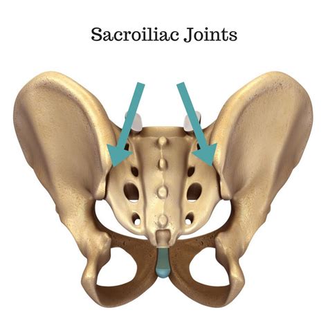 The Sacroiliac Joint 5 Things We Didnt Learn In Yoga Teacher Training