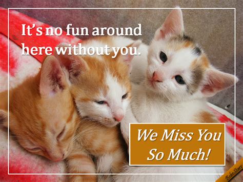 We Miss You Free Miss You Ecards Greeting Cards 123 Greetings