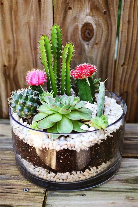 Watch this diy for full information! 16 Simple Yet Beautiful DIY Cactus Pots That Everyone Can Make