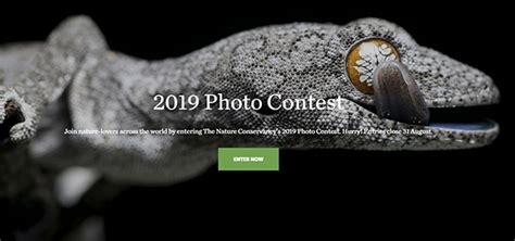 Nature Conservancy 2019 Global Photo Contest Opens Today Photo Review