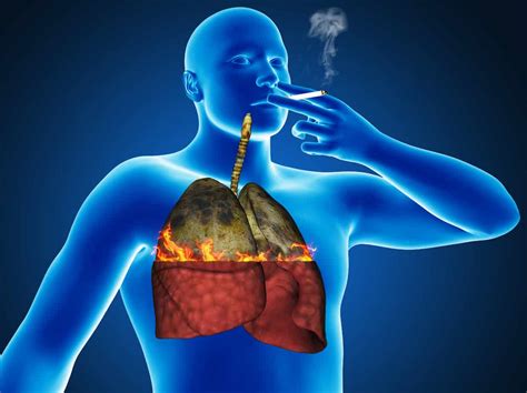 Smokers Or Past Smokers Six Ways To Cleanse And Revitalize Your Lungs • Healing The Body
