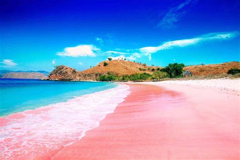 Best Pink Sand Beaches In The World Hiideemedia