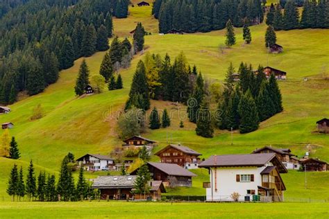 Traditional Swiss Style Houses On The Green Hills With Forest In The
