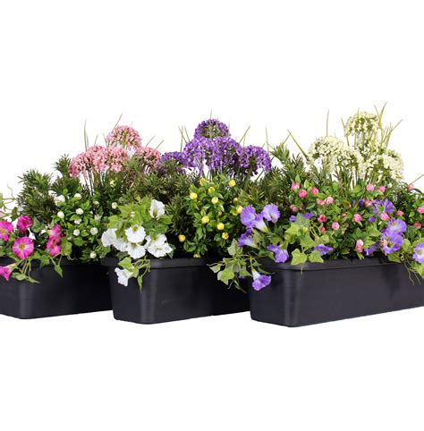 Window boxes are a game changer when it comes to curb appeal. Artificial window boxes are an easy way to add stunning ...
