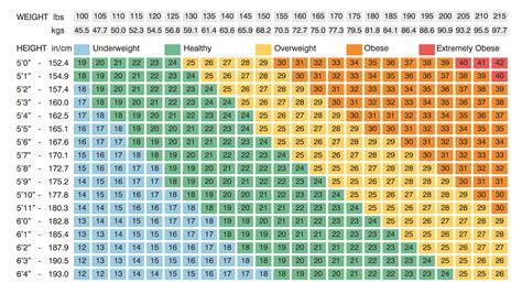 Bmi of american female = 26.5. Healthy Weight Loss with Paleo, Part 4 ~ The Paleo Mom