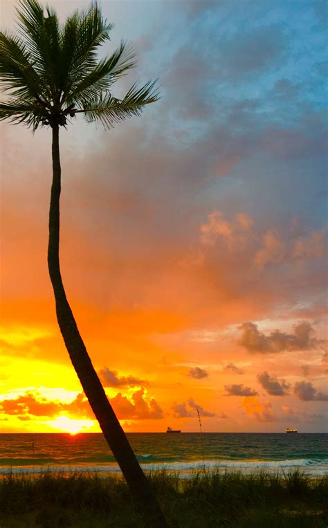 Pin By Tracy Wilson On Beach Sunrise Sunset And Palm Trees Sunrise