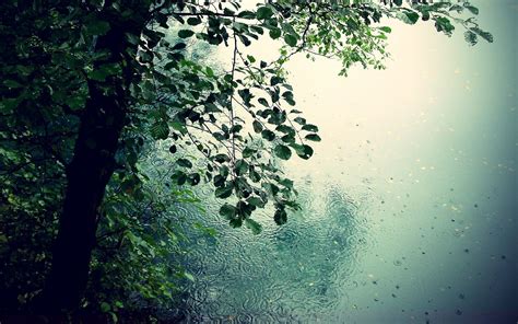 Beautiful Rain Wallpaper 62 Images