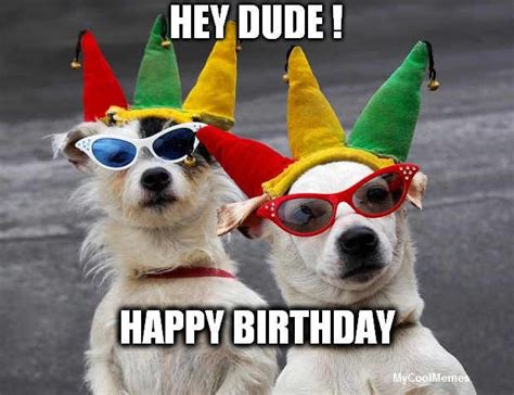 Happy birthday amanda meme funny. Funny Happy Birthday Dog Meme - MyCoolMemes