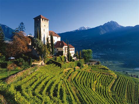 Discover The Alto Adige Wine Region Wine Folly