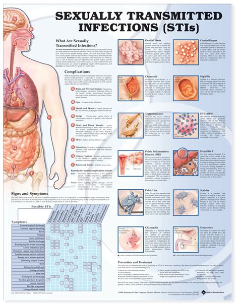 Anatomical Chart Series Sexually Transmitted Infections Stis