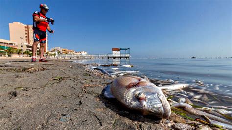 Medio Ambiente Murcia Aprueba Un Decreto Para Intentar Proteger El