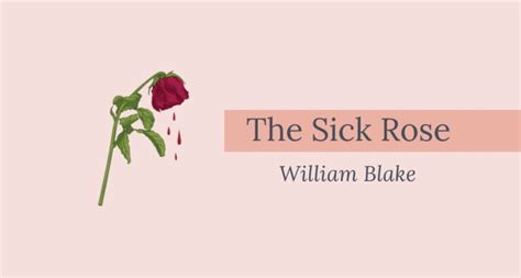 বঙ্গানুবাদ The Sick Rose Poem Bengali Meaning । By William Blake