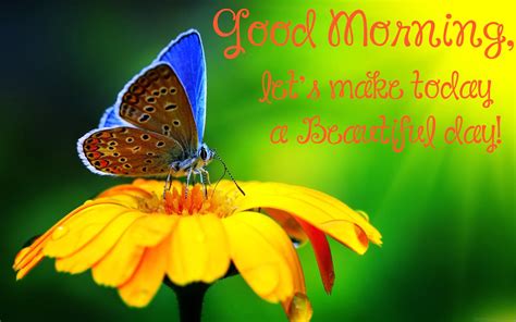 Afbeeldingsresultaat Voor Butterfly Quotes Good Morning Wishes