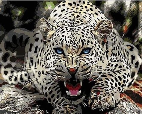 Wild Blue Eyed Jaguar Animals Paint By Numbers Numeral Paint Kit