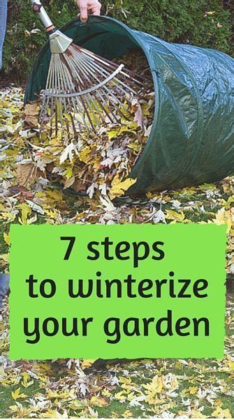 Winterize Your Lawn And Garden In 7 Steps Winter Lawn Lawn And