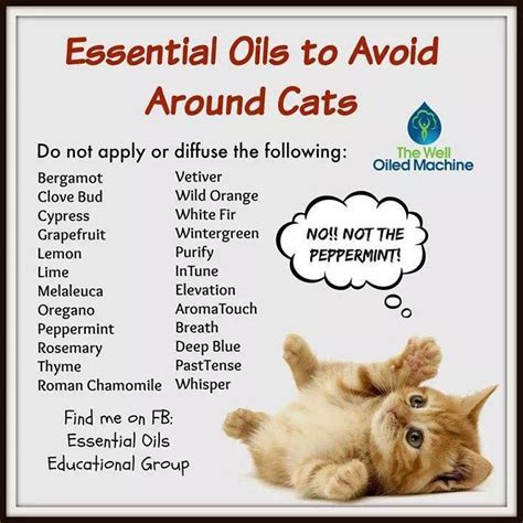 Before you begin using essential oils for pets, you need to know the answers to some important questions: Essential oils to avoid around cats Dayna's Young Living ...