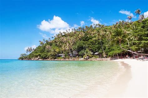 Tropical Landscape On Seashore With Sandy Beach Clear Sea Palm Trees