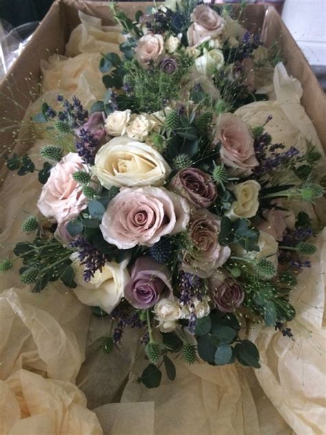 Secret Garden Dunblane Amnesia Quicksand And Avalanche Roses With
