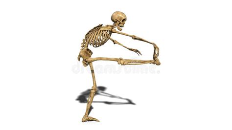 Funny Skeleton Laying On Ground And Smiling Human Skeleton Isolated On