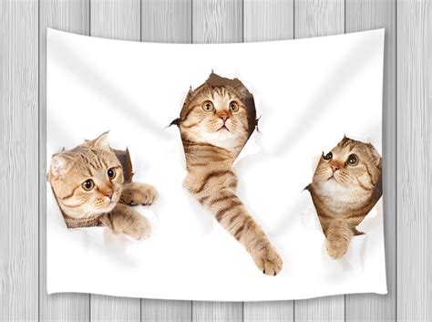 View all covers for the cat who walks through walls (logged in users can change user preferences to always display covers on this page). Aliexpress.com : Buy Cat Decor Tapestry Funny Naughty Cat ...