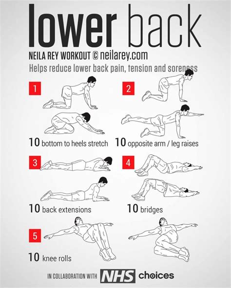 Pin On Exercises For Back Pain Relief