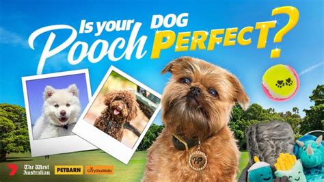 Is Your Dog Pooch Perfect The West Australian