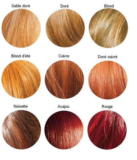 coloration végétale bio Hair Color Chart Color Your Hair Dye My Hair