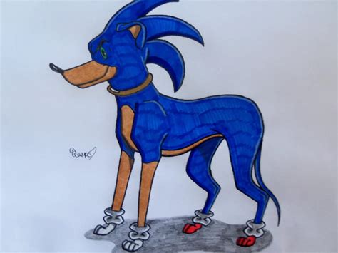 Sonic The Dog By Segadisneyuniverse On Deviantart