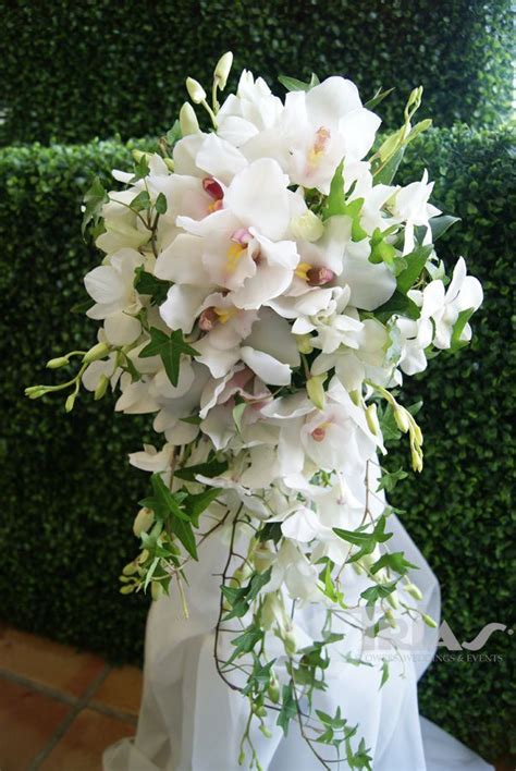 Wedding Bouquet 40 Cascade Bouquet White Cymbidium Orchids And Orchid Bouquet Wedding