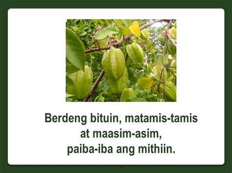 Filipino Riddles Collection Hubpages