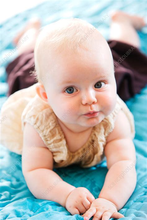 6 Month Old Baby Girl Stock Image C0309901 Science Photo Library