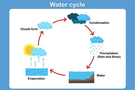 Water Cycle Steps For Kids