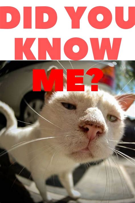 I don't love you anymore | to nivea, the world seemed like an eternal winter. Why Do Cats Like You So Much Than Other Person In My House?