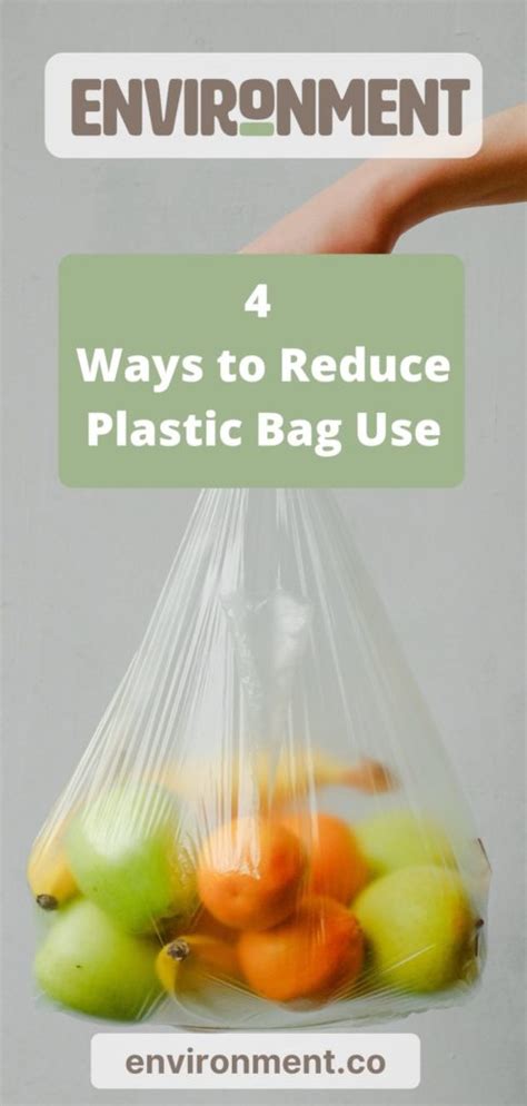 4 Ways To Reduce The Use Of Plastic Bags Environment Co