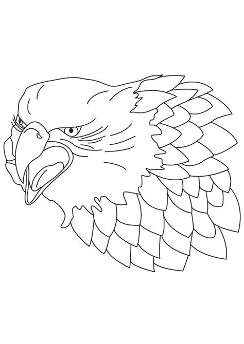 Https://wstravely.com/coloring Page/amazing Animal Coloring Pages