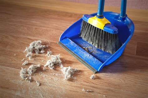 Getting Rid Of Dust At Home A Complete Guide