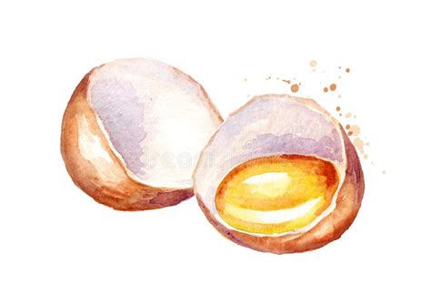 Eggs Composition Watercolor Hand Drawn Illustration Isolated On White