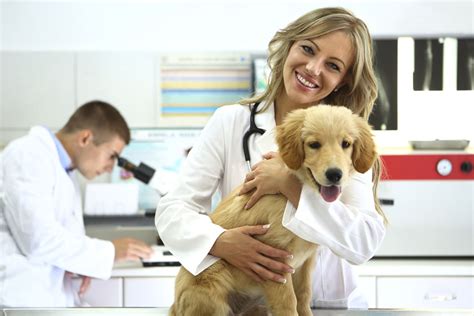 It's no myth, there is an overpopulation of unwanted pets nationwide. Veterinary Staff - Overland Animal Hospital & Pet Resort