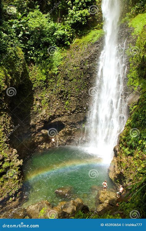 middleham waterfall dominica editorial stock image image of natural island 45393654