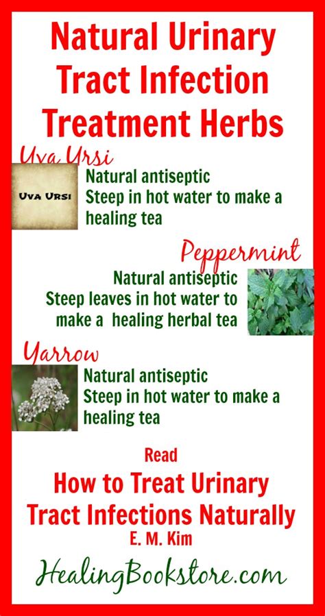 Herbs For Natural Urinary Tract Infection Treatment Infographic