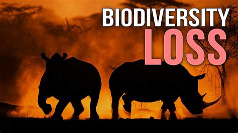 Biodiversity Loss A Documentary Youtube