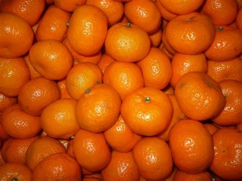 China Fresh Baby Mandarin Photos And Pictures Made In