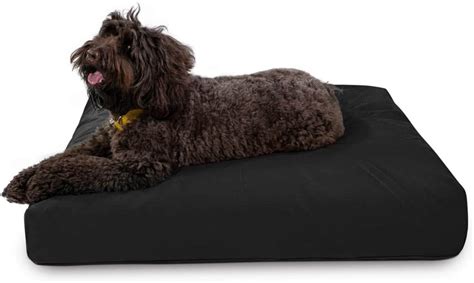 Best Indestructible Dog Beds For Heavy Chewers In 2021