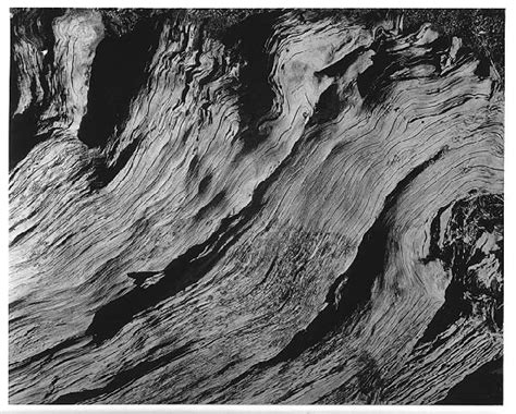 Edward Weston Photography And Modernism At Los Angeles County Museum