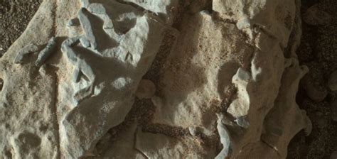 Strange Mars Structures May Be Trace Fossils Unexplained Mysteries