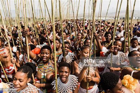 topshot zulu maidens gather during the annual umkhosi womhlanga at news photo getty images