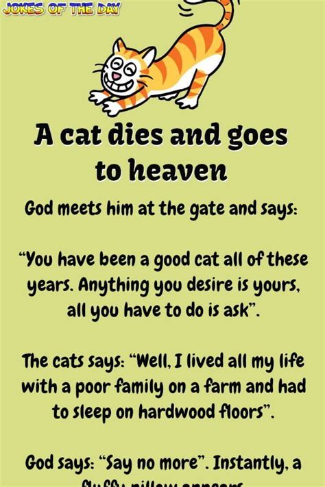 A Cat Dies And Goes To Heaven In 2020 Funny Long Jokes Short Jokes