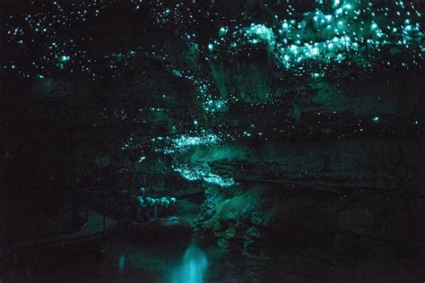 Don't take our word for it. Glow Worm Cave New Zealand - Gets Ready