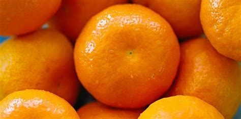 Clementine Orange Satsuma And Tangerine Differences The Fact Site